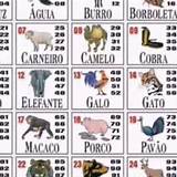 palpite do jogo do bicho french roulette
